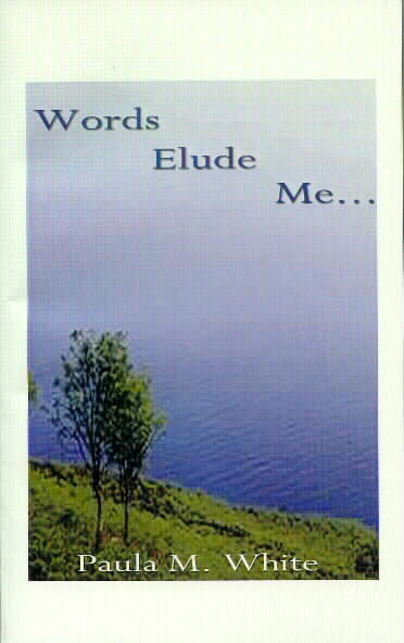 Words Elude Me...